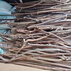 世田谷区近辺配送可能　小枝　薪　伐採枝木　伐採丸太　木材　太さ約2㎝～5㎝の画像