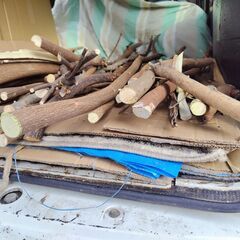 世田谷区近辺配送可能　小枝　薪　伐採枝木　伐採丸太　木材　太さ約2㎝～5㎝の画像