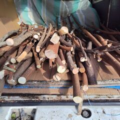 世田谷区近辺配送可能　小枝　薪　伐採枝木　伐採丸太　木材　太さ約2㎝～5㎝の画像
