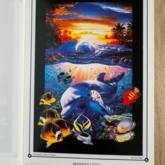 ラッセン　ポストカードの画像