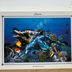 ラッセン　ポストカードの画像