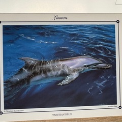 ラッセン　ポストカードの画像