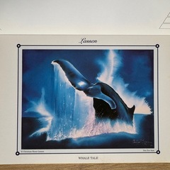 ラッセン　ポストカードの画像