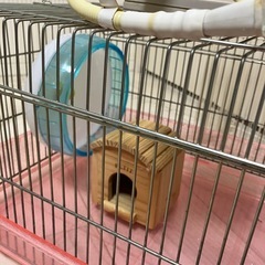 【フルセット】ハムスター飼育セットの画像