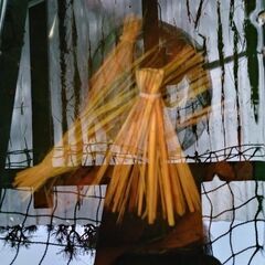 結束稲わら(Ｓサイズ)20束の画像