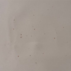 【無料】※シミ有　遮光ロールスクリーン160×220cmの画像