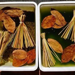 結束稲わら(Ｓサイズ)20束の画像