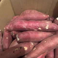 べにはるか　小さめ（規格外）の画像