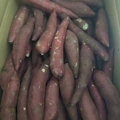 べにはるか　小さめ（規格外）の画像