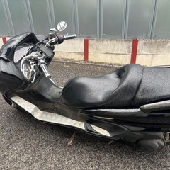 マジェスティの画像