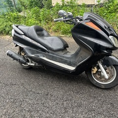 マジェスティの画像