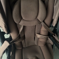 メリオカーボン 2024 限定色 コーヒーブラウンの画像