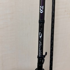 ダイワ エメラルダス エギングの画像