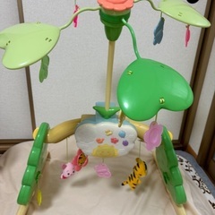 プーメリー②の画像