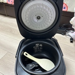炊飯器とバキュームクリーナー 車の画像