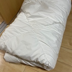 掛け布団　ポリエステル　シングル　汚れありの画像