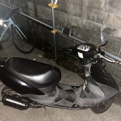 スズキレッツ2の画像