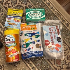 ②メダカ、金魚などこれから飼う方に
の画像