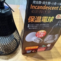 小動物保温電球の画像