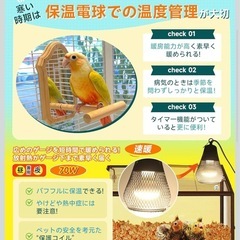 小動物保温電球の画像