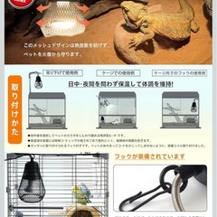 小動物保温電球の画像