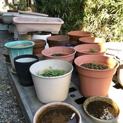 植木鉢などの画像