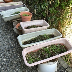 植木鉢などの画像