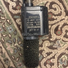 ②メダカ、金魚などこれから飼う方に
の画像