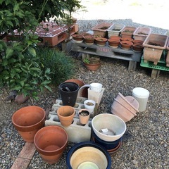 植木鉢の画像
