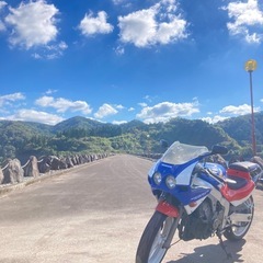 HONDA CBR250r mc19
の画像