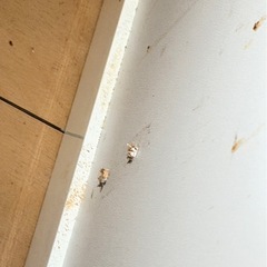 にとりニトリキッチンボードの画像