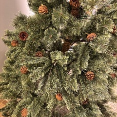 【早く来れる方優先】クリスマスツリー　オーナメント付の画像