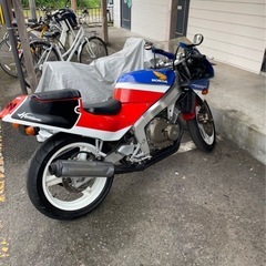 HONDA CBR250r mc19
の画像