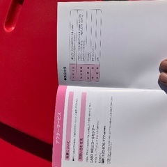 LABOWELL　立花式 背中美人ストレッチ　3枚プレートの画像