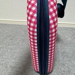 折りたたみペット用キャリーバッグの画像