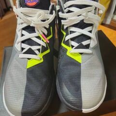 NIKE LEBRON 18 LOW の画像