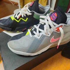 NIKE LEBRON 18 LOW の画像