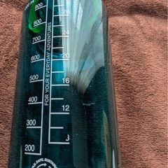 ナルゲンボトル　1.0L セルーリアン の画像