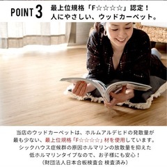 【受け渡し予定者決定しました】ウッドカーペットの画像