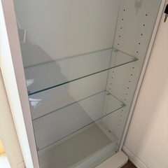 【定価半額以下】コレクションラック DIO ディオ 幅46cm 本体 ミドル ハイタイプ 鍵付 奥行18cmタイプ 浅型の画像