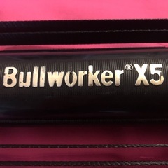 🌈 ブルーワーカー X5 　　筋トレの定番　ボディービルの画像