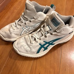 ゲルホープV17の画像