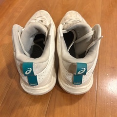 ゲルホープV17の画像