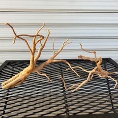 アクアリウム流木　各種500円の画像