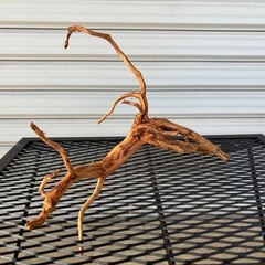 アクアリウム流木　各種500円の画像