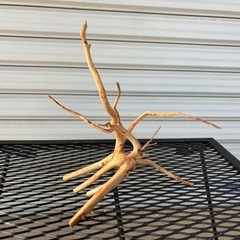 アクアリウム流木　各種500円の画像