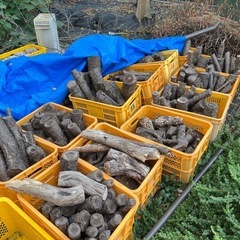 ⭐︎これからの季節に⭐︎薪  スギ、サクラ、クスノキ、マキ、その他
の画像