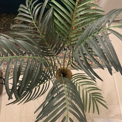 フェイクグリーン　11/24までの画像