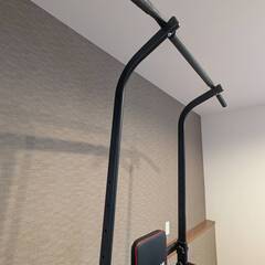 懸垂スタンド ホームジム トレーニングマシンの画像