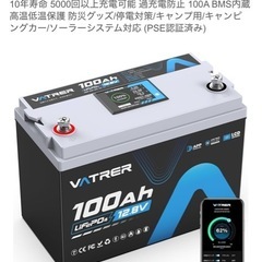 エレキモーター+リン酸鉄リチウムイオンバッテリーの画像